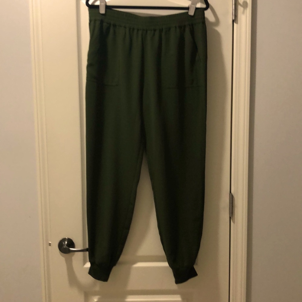 Joie joggers.  Light weight fabric